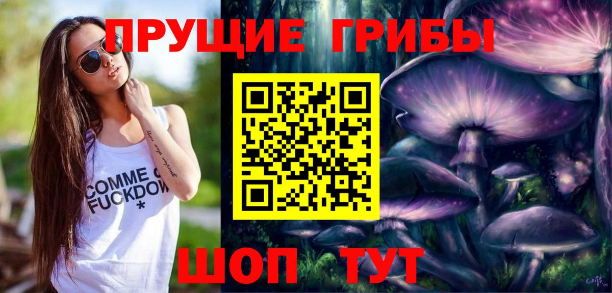 Псилоцибиновые грибы Psilocybine cubensis Тихвин
