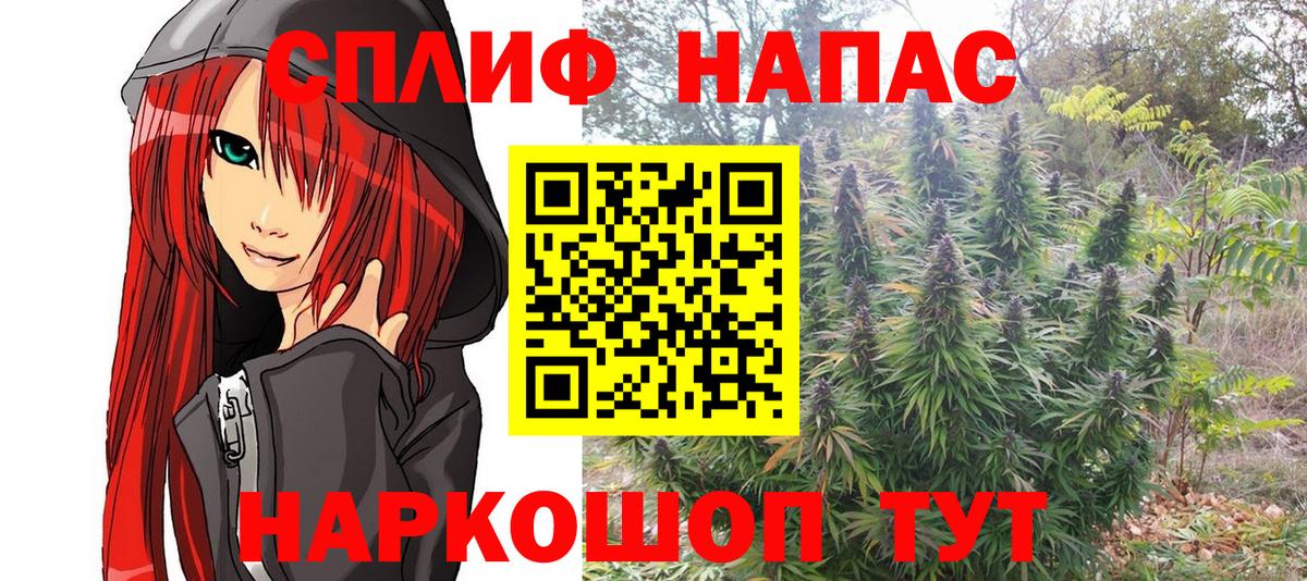 Бошки Шишки White Widow  Марихуана семена  Тихвин  Канабис планчик  Вход с VPN 